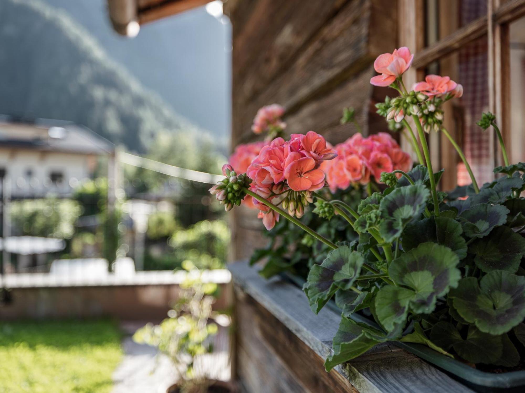 Myalps Muehlhof Inklusive Sauna Oetz Zewnętrze zdjęcie
